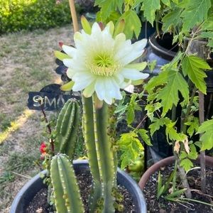 Meet your Posher, Sabina